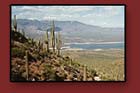 tour the southwest with our friendly and experienced tour guides