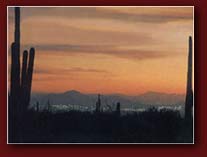 tour phoenix with Vaughan's Southwest Custom Tours